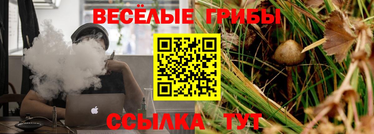 Псилоцибиновые грибы ЛСД  Вход с VPN  наркота  Сокол 